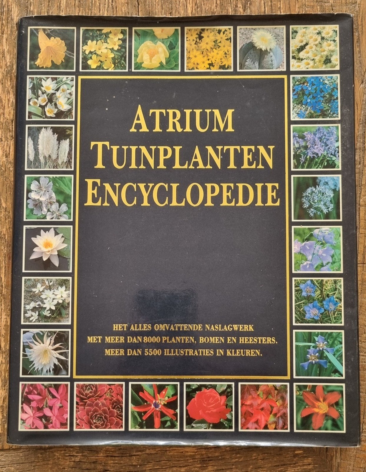 atrium tuinplanten encyclopedie, Ophalen of Verzenden, Bloemen, Planten en Bomen, Atrium