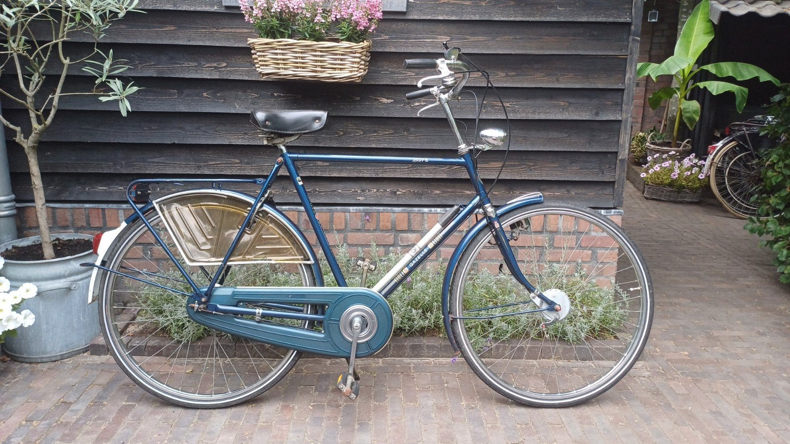 Bijzondere Gazelle Sport 15 H61cm 3V vintage oldtimer, Fietsen en Brommers, Ophalen, Gebruikt, Versnellingen, 61 tot 65 cm