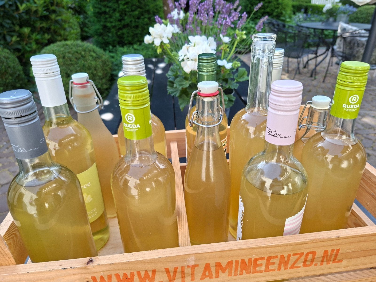 Vlierbloesemsiroop uit "De "Maasheggen" ,zelf gemaakt ,, Ophalen