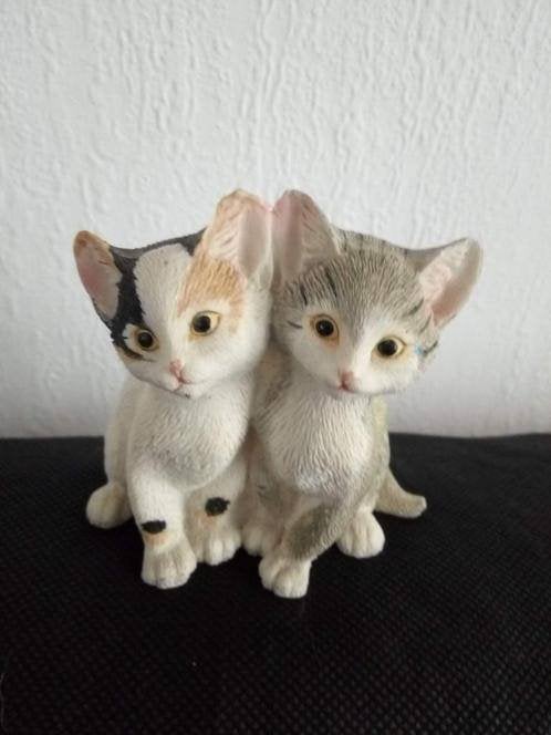 2 Lieve Kittens, Ophalen of Verzenden, Zo goed als nieuw, Dier