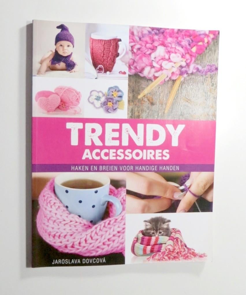 Hobbyboek M4038: Trendy accessoires Haken en Breien 15+, Jaroslava Dovcová, Ophalen of Verzenden, Geschikt voor kinderen, Gelezen
