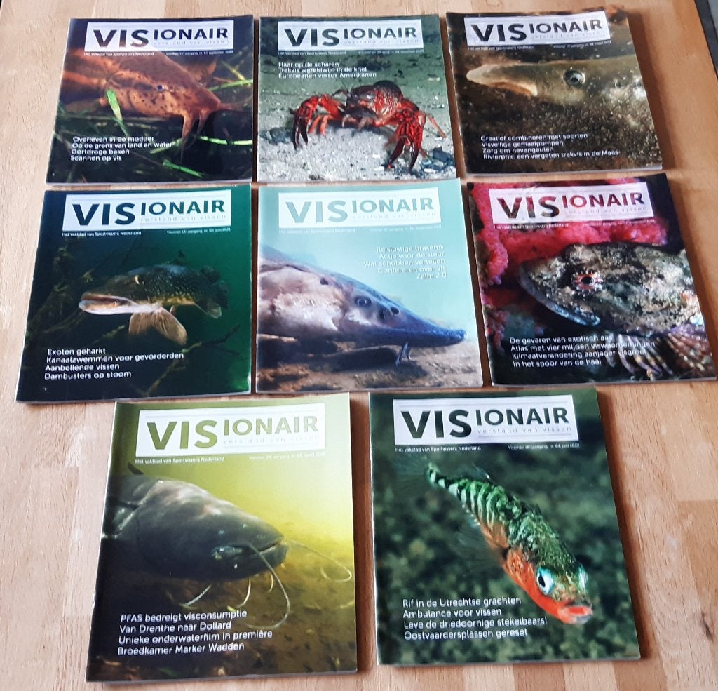 Visblad Visionair, Ophalen, 1980 tot heden, Nederland, Tijdschrift