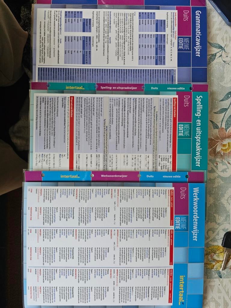 Intertaal Duitse Grammatica-, Spelling- en Werkwoordenwijzer, Boeken, Ophalen of Verzenden, Zo goed als nieuw, Intertaal, Non-fictie