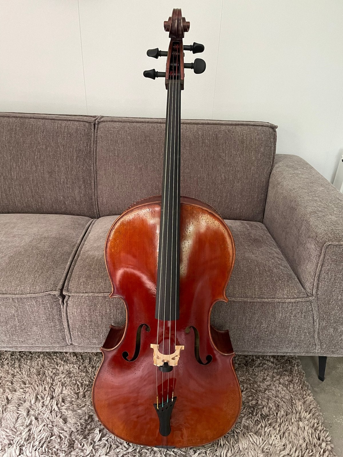 Lorenzo Storioni Cello Cremona 2014-16 met accessoires, Ophalen, 4/4-cello, Met koffer