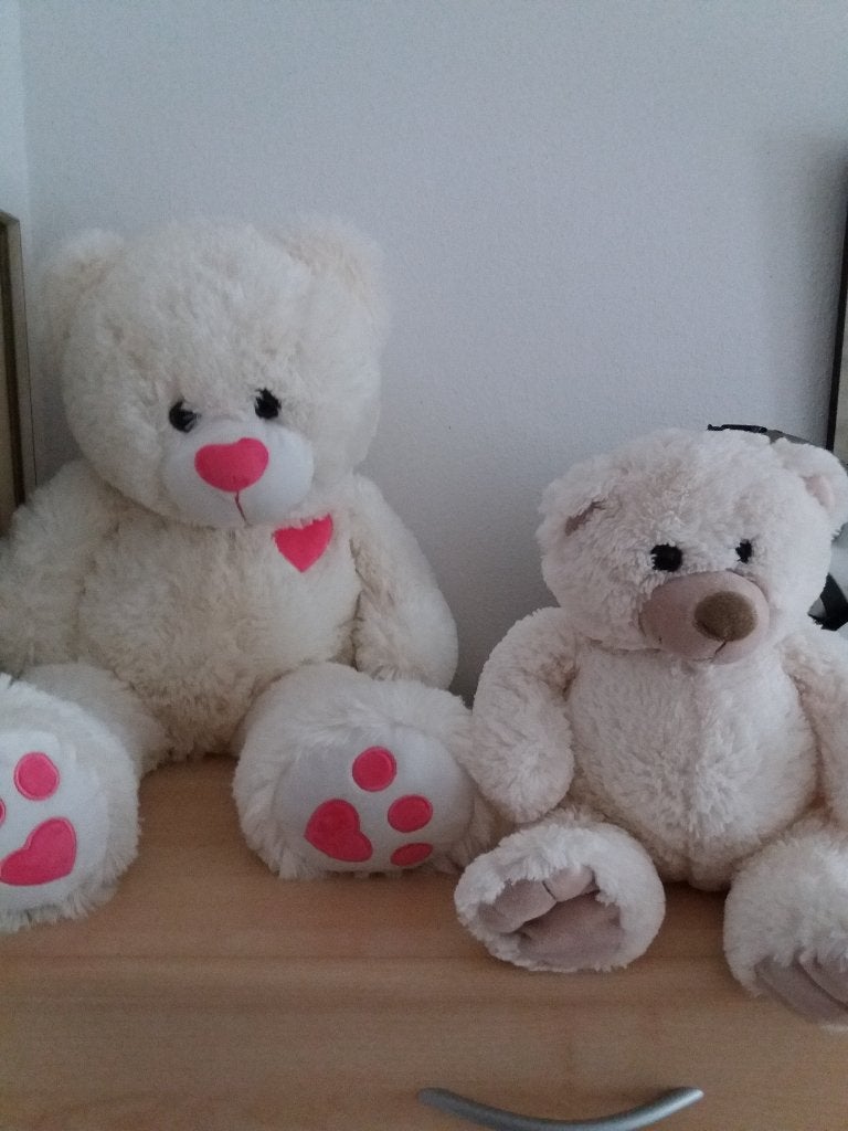 teddy beren en knuffel hond, Ophalen, Overige merken, Overige karakters, Beer