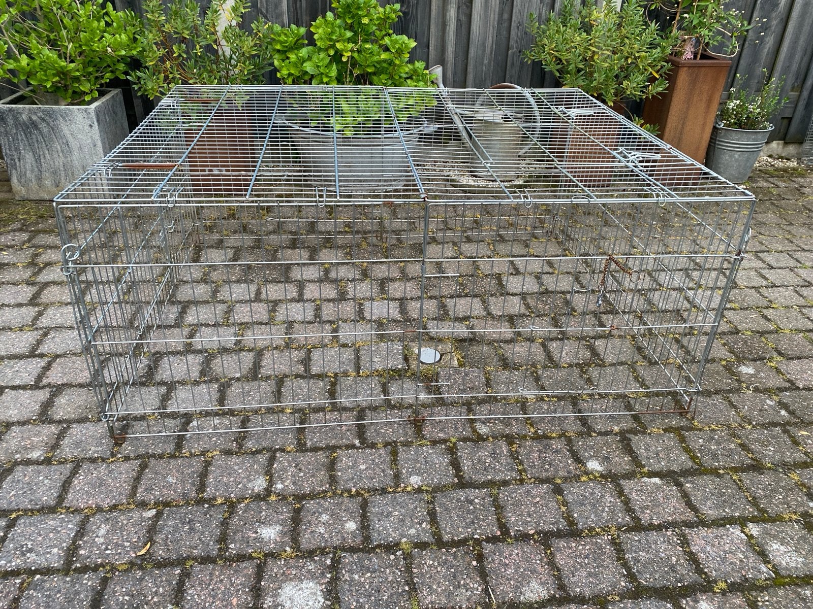 Konijnenren rechthoekig. OPHALEN, Ophalen, 60 tot 90 cm, Konijn, Ren