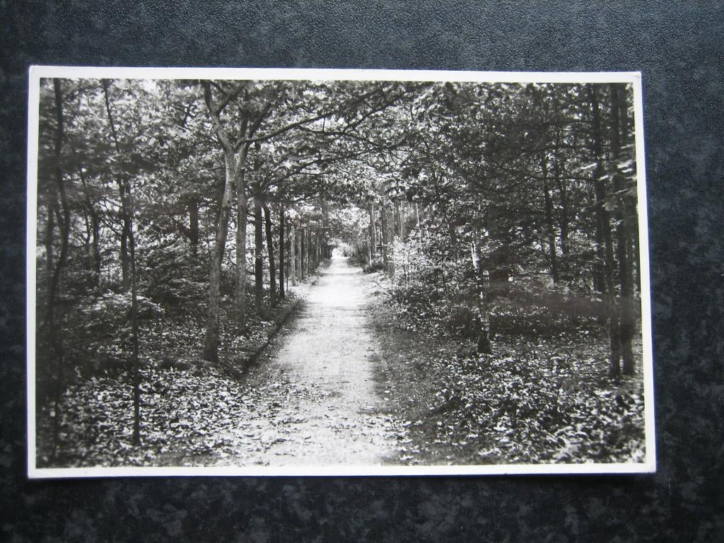 OLDEBROEK vac. oord Beltgraven 1954, Ophalen of Verzenden, 1940 tot 1960, Gelderland