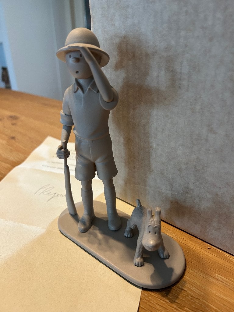 Tintin au Congo (N77/200)/TinTin et Tchang – Patrick Regout, Ophalen, Eén stripboek, Hergé ,Casterman, Zo goed als nieuw