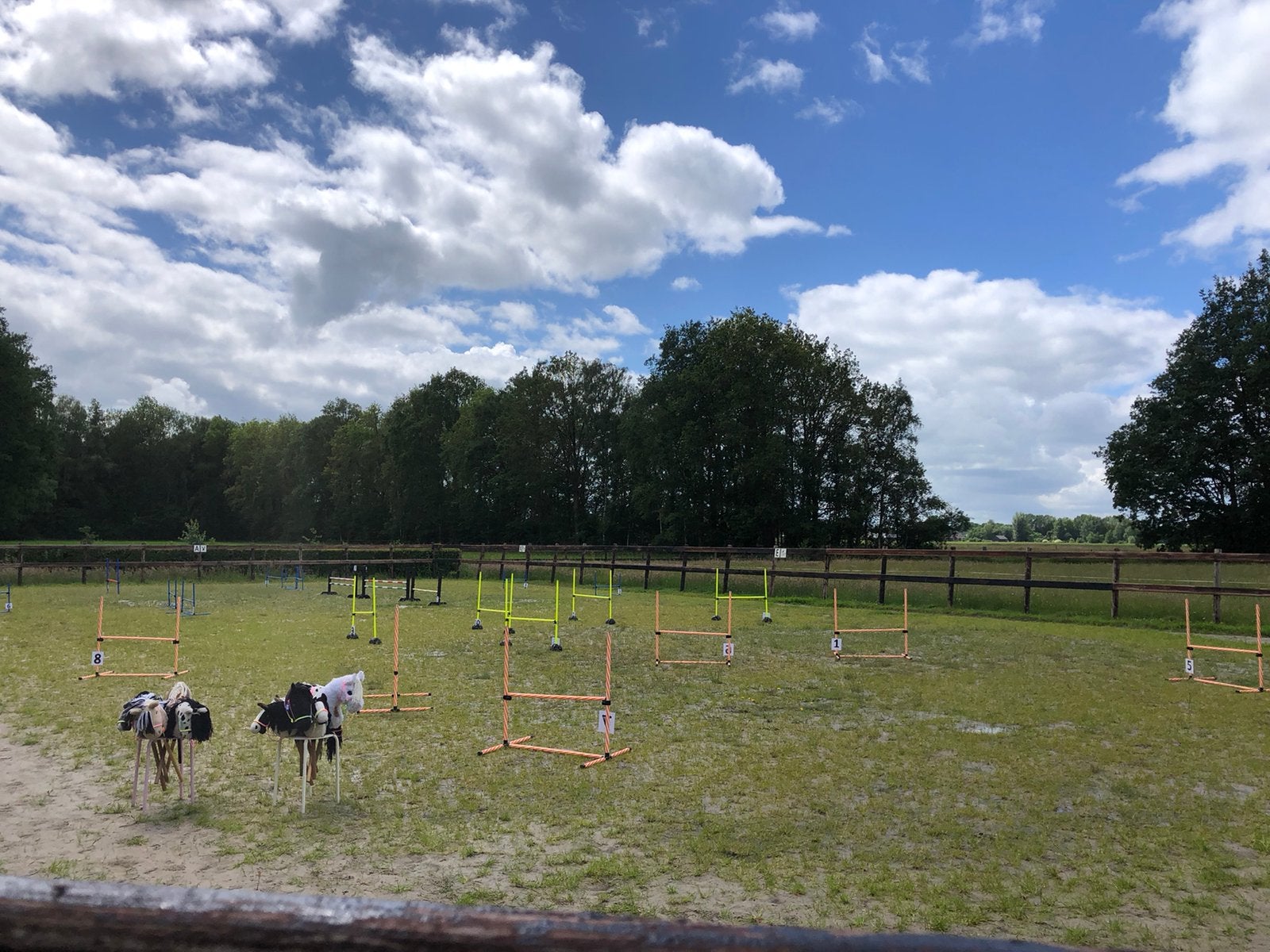 Hobby horses 1,5 uurtje 6 september hobby horse donkerbroek, Ophalen, Zo goed als nieuw
