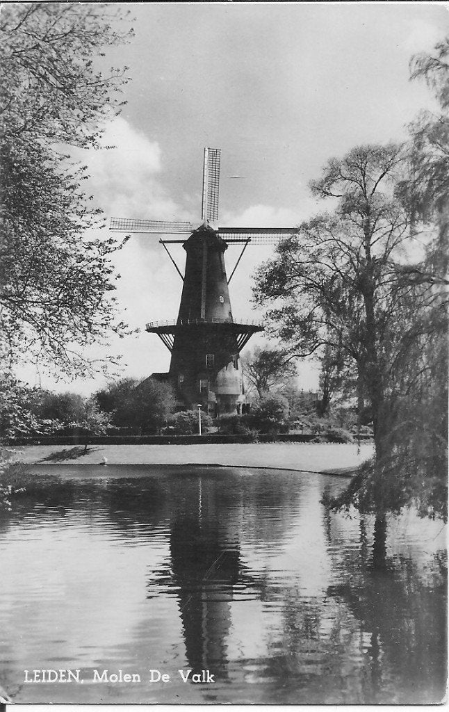 Ansichtkaart Leiden, Molen De Valk - Ongelopen, Ophalen of Verzenden, 1940 tot 1960, Ongelopen, Zuid-Holland
