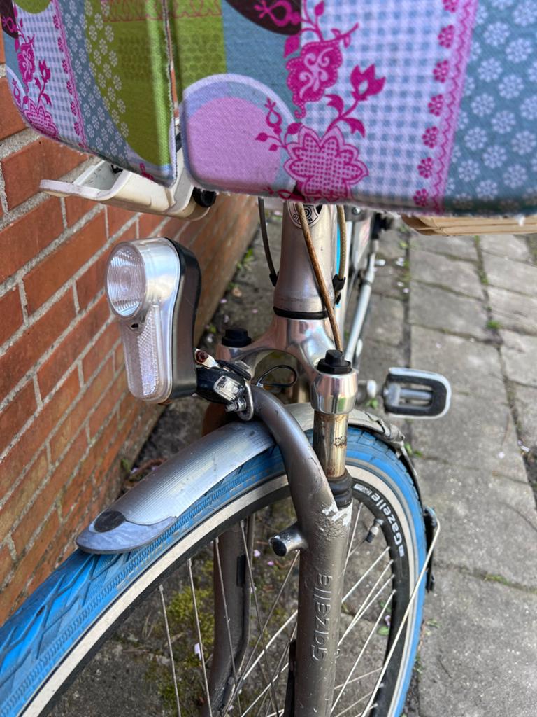 Gazelle fiets met kinderzitjes, Ophalen, Gazelle, Trommelrem, 53 tot 56 cm