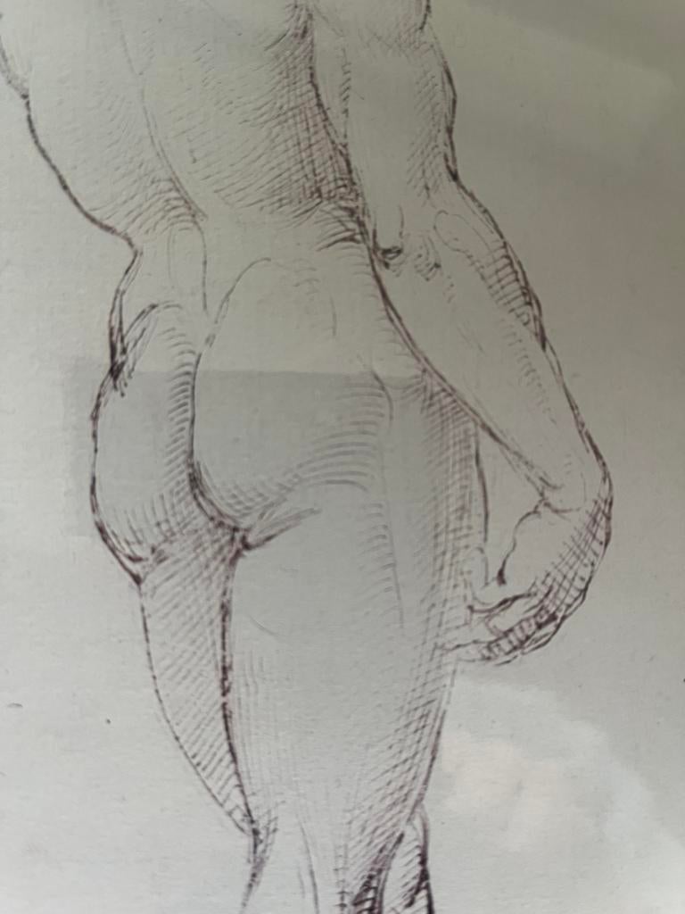 DAVID. —  MICHELANGELO. —  RUGZIJDE., Ophalen of Verzenden