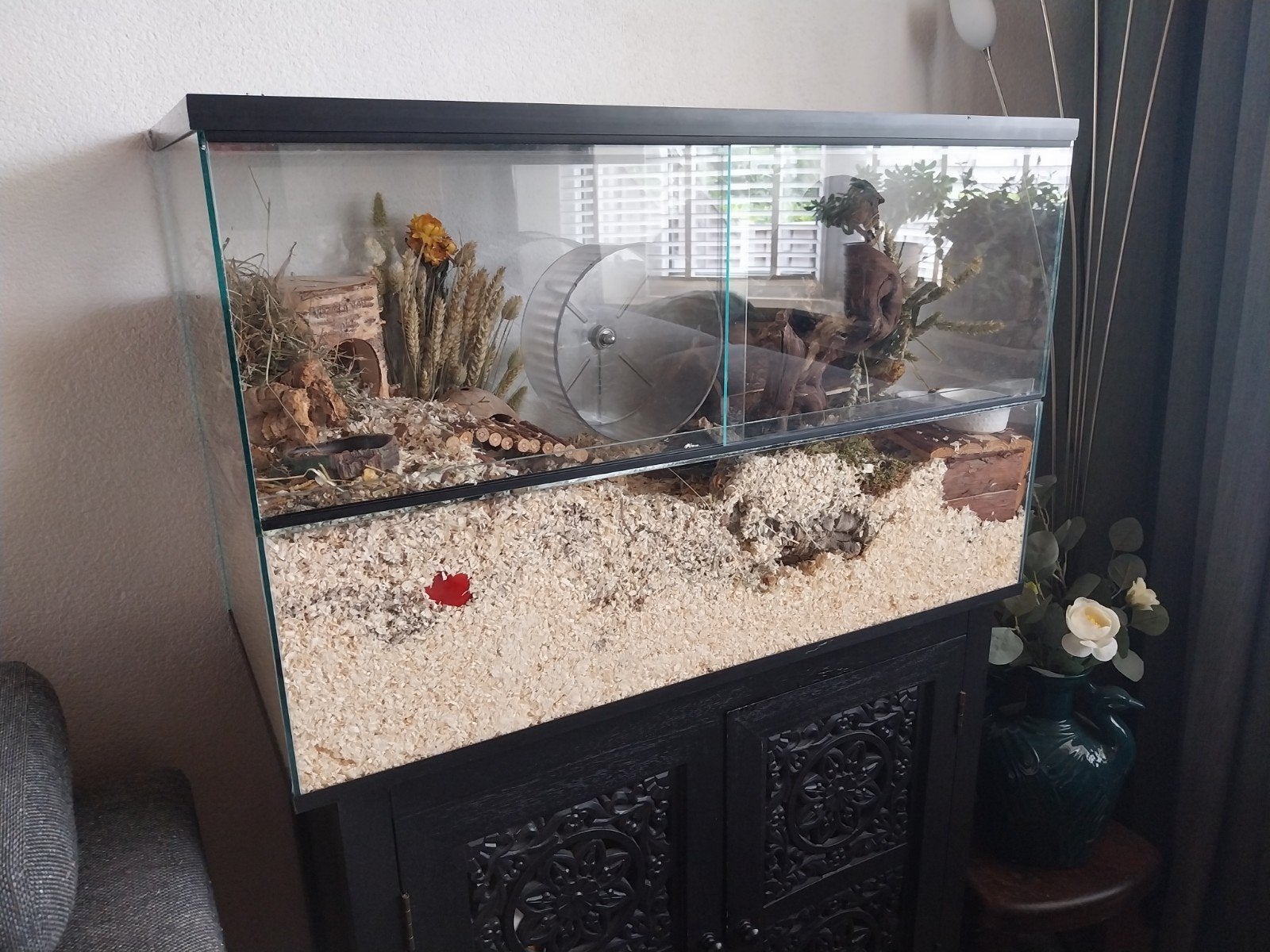 Prachtig hamster terrarium 80 cm, Dieren en Toebehoren, Knaagdieren en Konijnen | Hokken en Kooien, Minder dan 60 cm, Kooi, Ophalen of Verzenden
