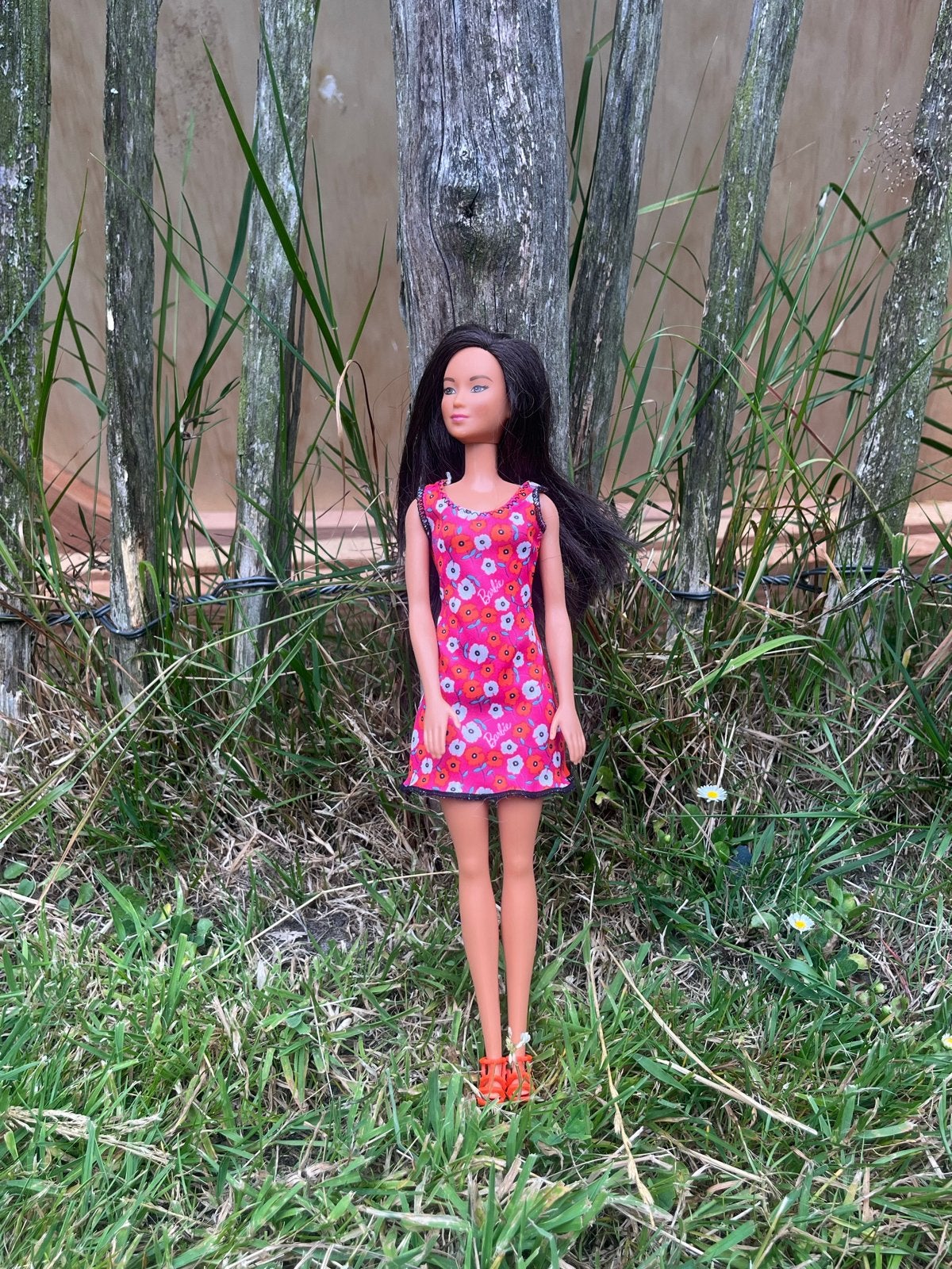 Barbie pop, Ophalen, Zo goed als nieuw, Barbie