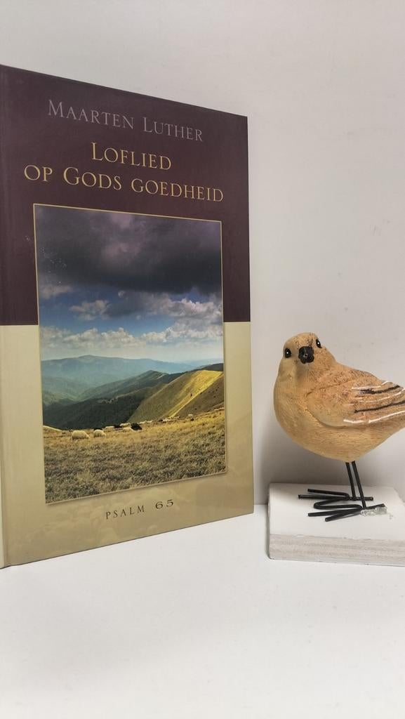 Luther, Maarten; Loflied op Gods goedheid, Ophalen of Verzenden, Gelezen, Christendom | Protestants