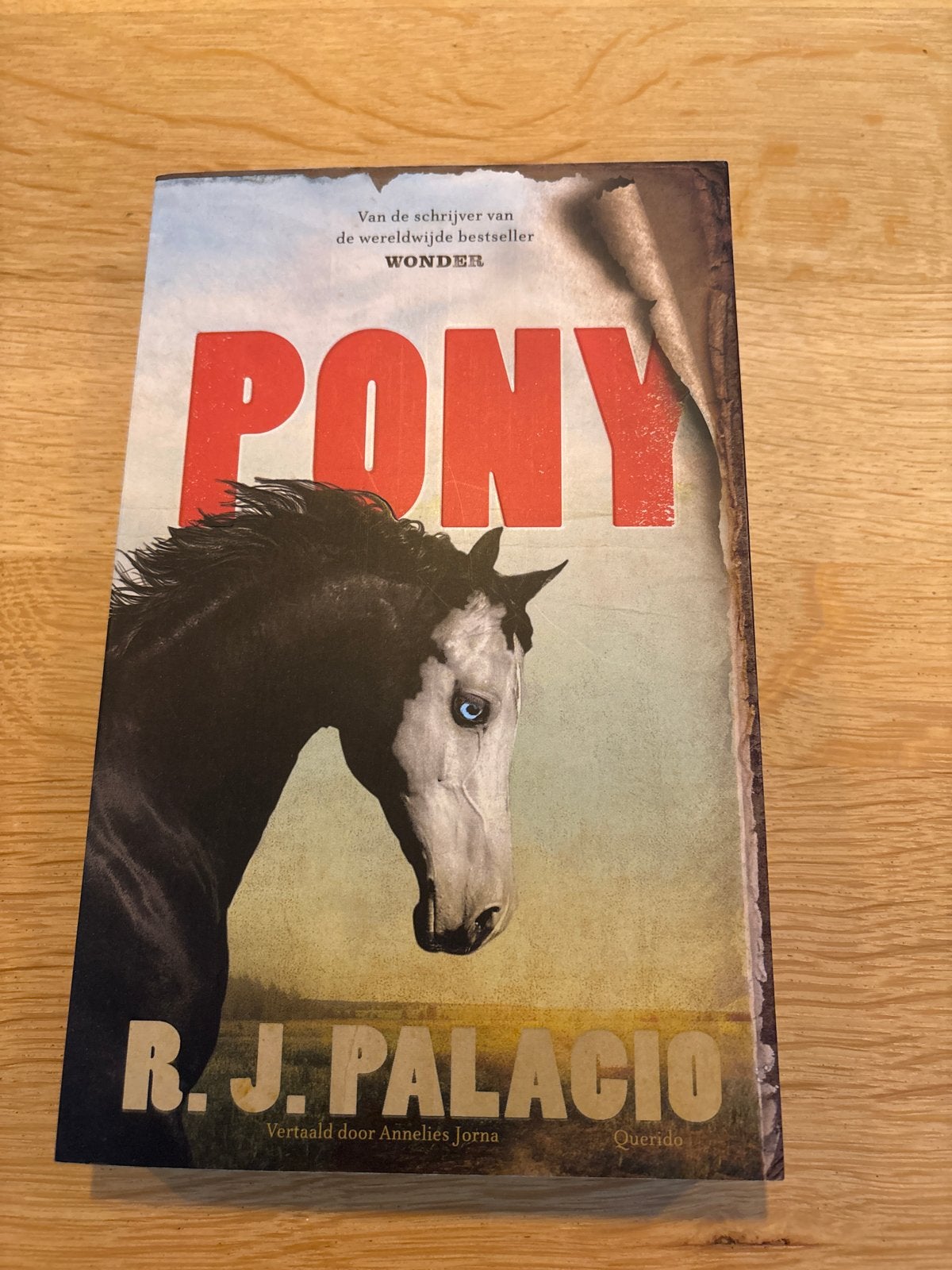 Pony - R.J. Palacio (auteur van Wonder), Ophalen of Verzenden, Zo goed als nieuw, Fictie