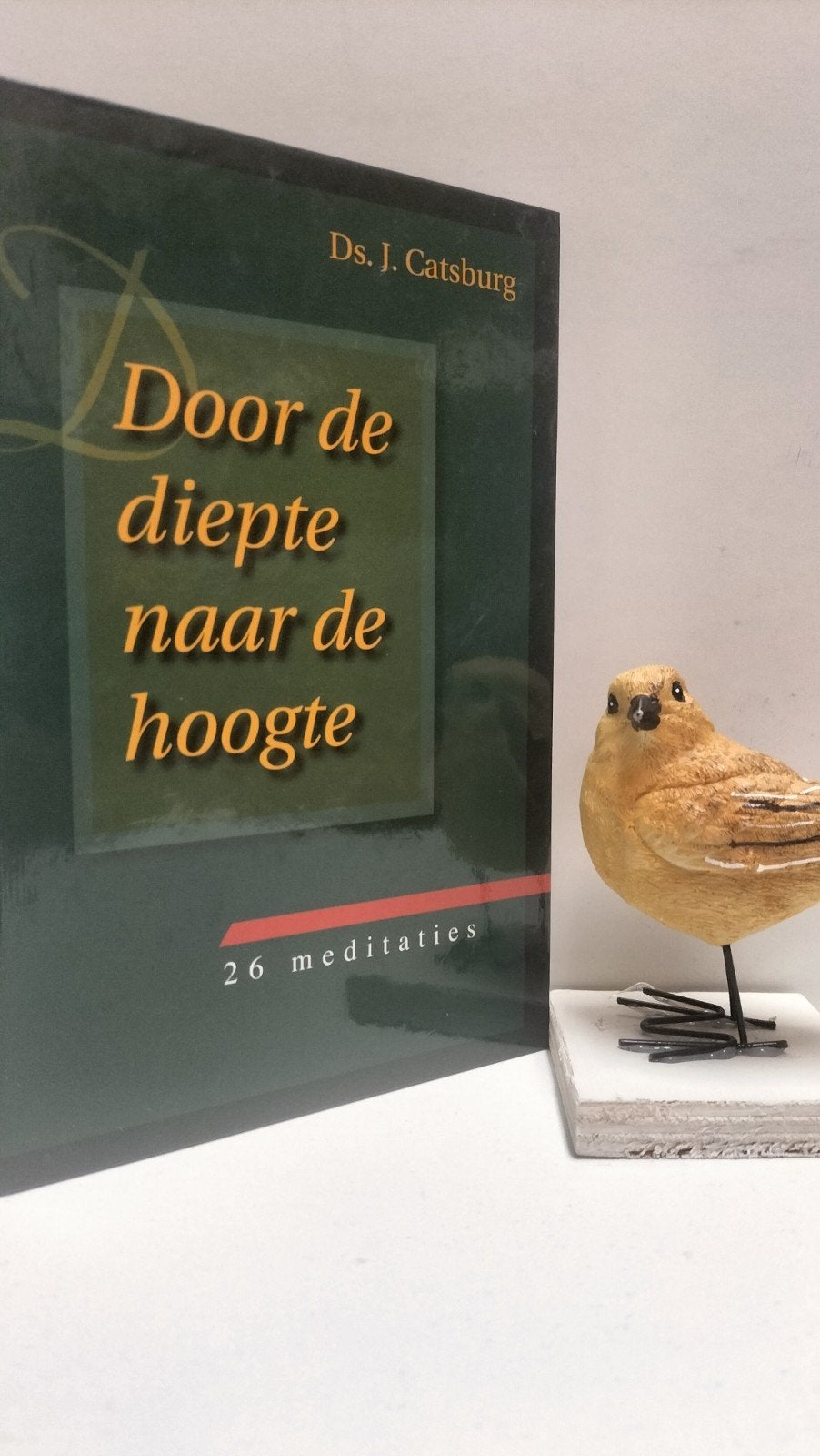 Catsburg, Ds. J; Door de diepte naar de hoogte, Ophalen of Verzenden, Gelezen, Christendom | Protestants