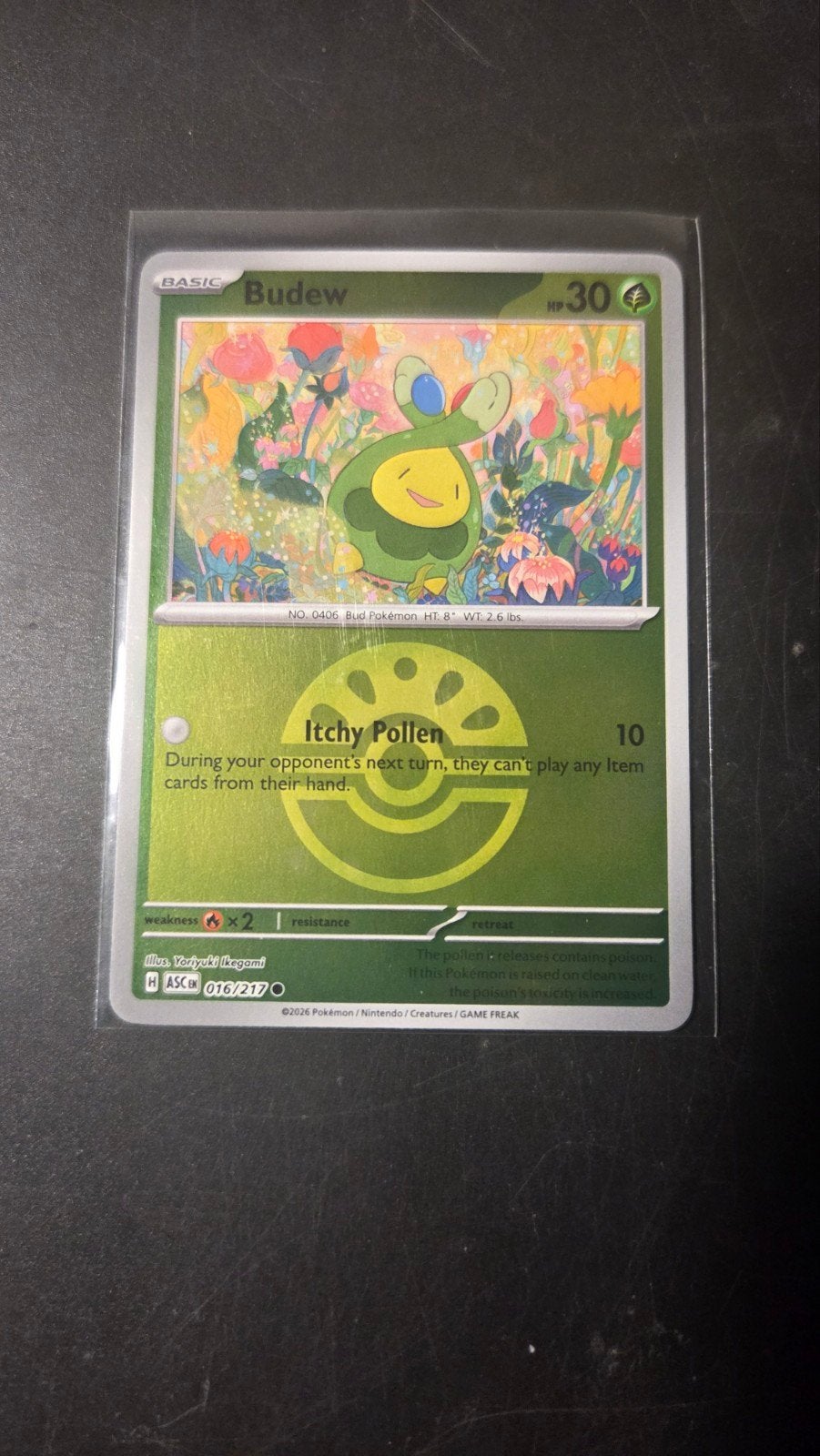 Budew 016/217 (pokéball) - Ascended Heroes Pokémon Kaart, Verzenden, Zo goed als nieuw, Losse kaart, Foil