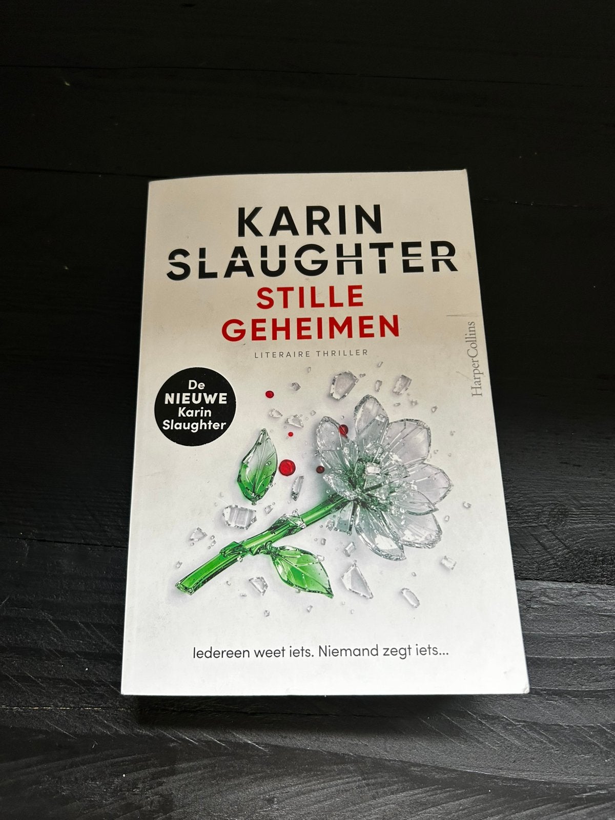 Karin Slaughter - De nieuwe Karin Slaughter 2026, Boeken, Thrillers, Zo goed als nieuw, Ophalen of Verzenden