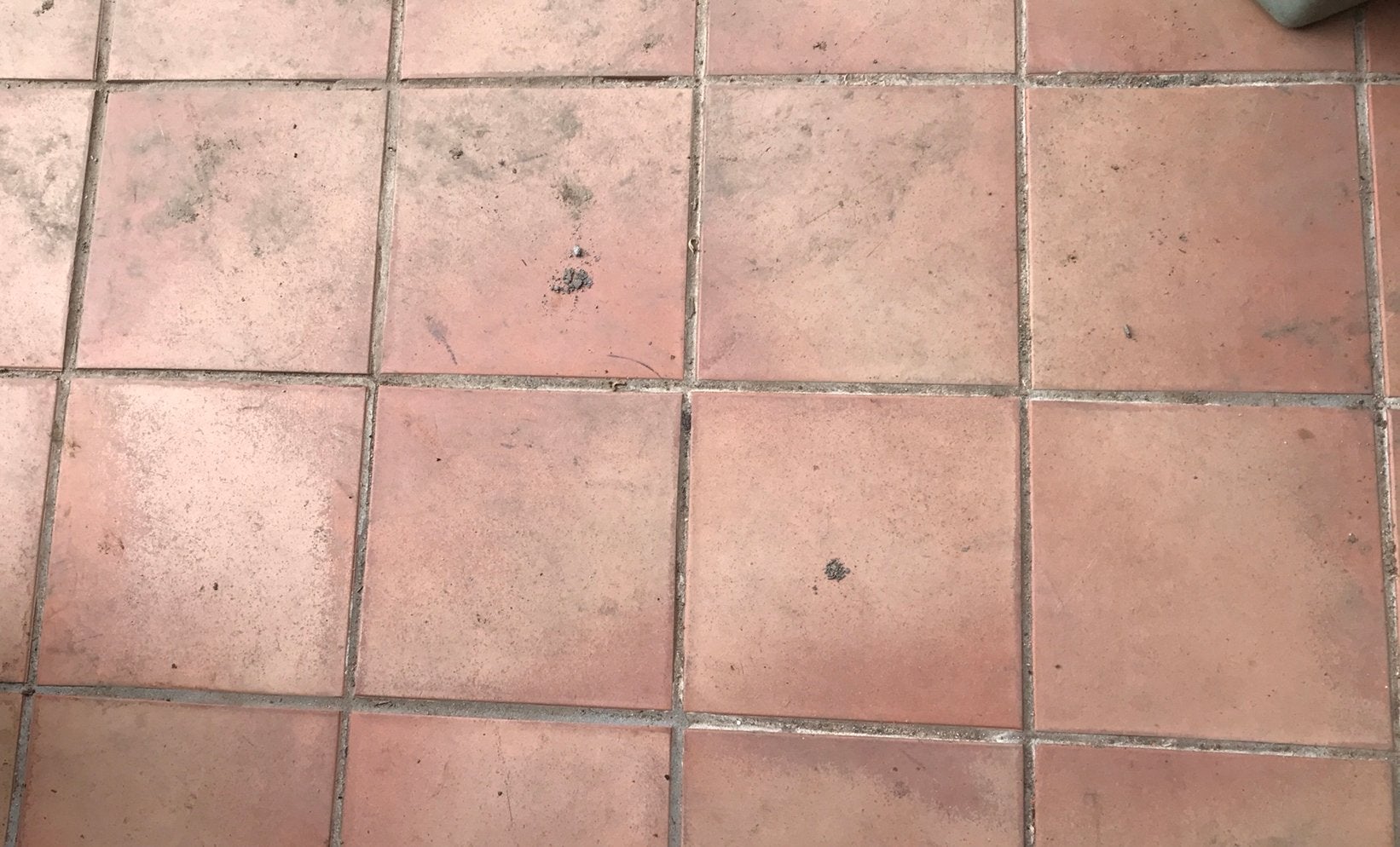 Gezocht terracotta 22x22 Gres Catalan (restpartij), Overige materialen, Ophalen of Verzenden, Zo goed als nieuw, 20 tot 40 cm