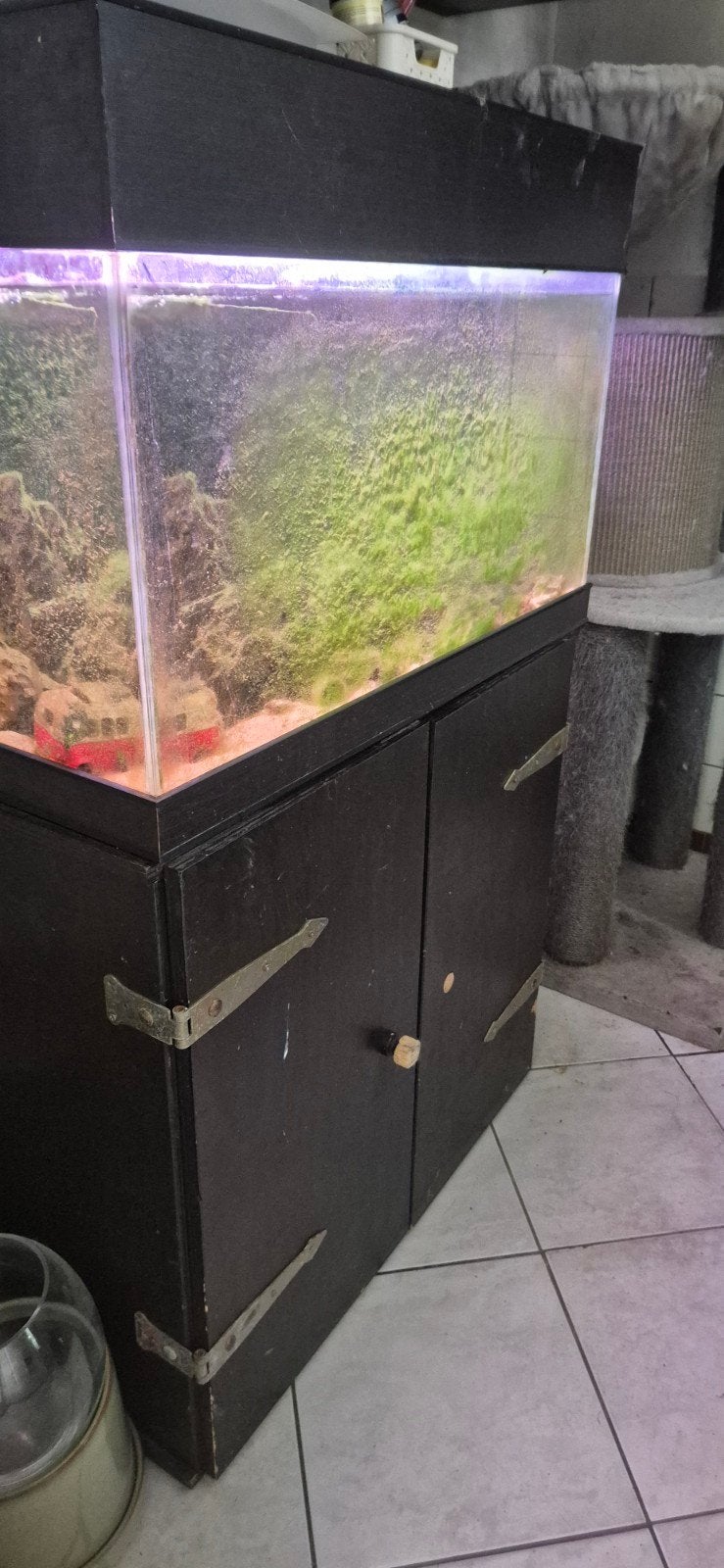 Aquarium 80 cm breed met verlichting, Ophalen of Verzenden, Aquariummeubel