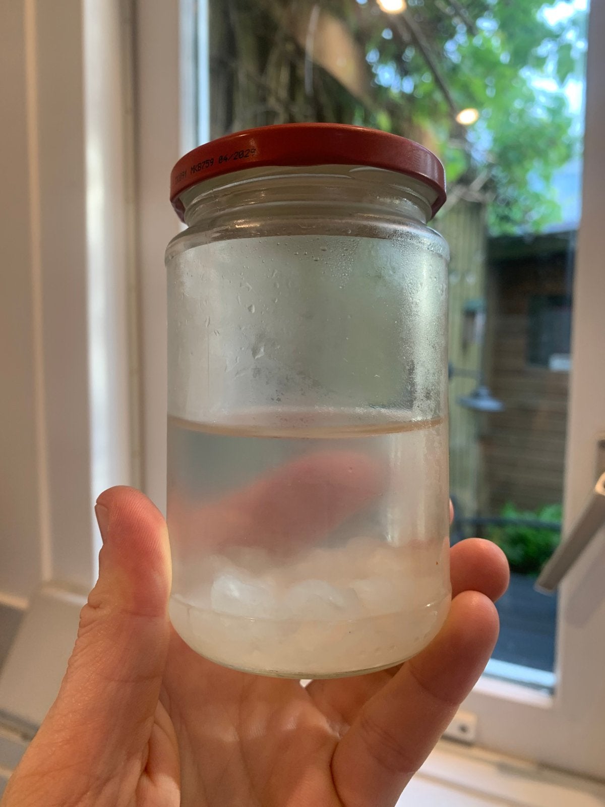 Kefirkorrels waterkefir, Diversen, Ophalen