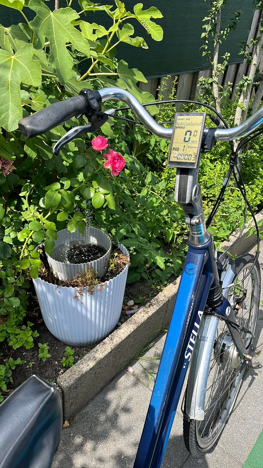 Elektrische Stella vicenza te koop, Ophalen of Verzenden, Zo goed als nieuw