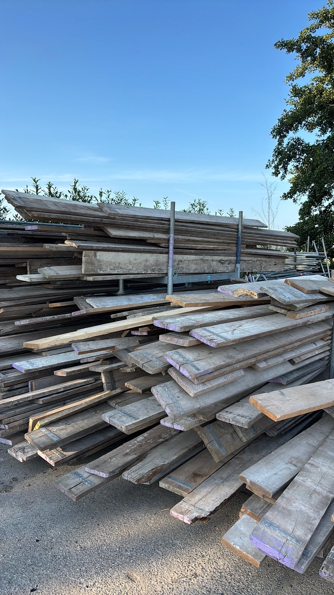 Steigerplanken, Ophalen of Verzenden, Zo goed als nieuw, 250 cm of meer, Planken