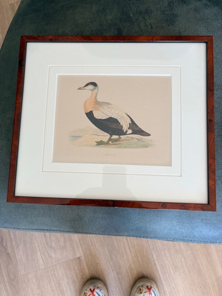 kunst, Ophalen, Klassiek, Dieren, Papier