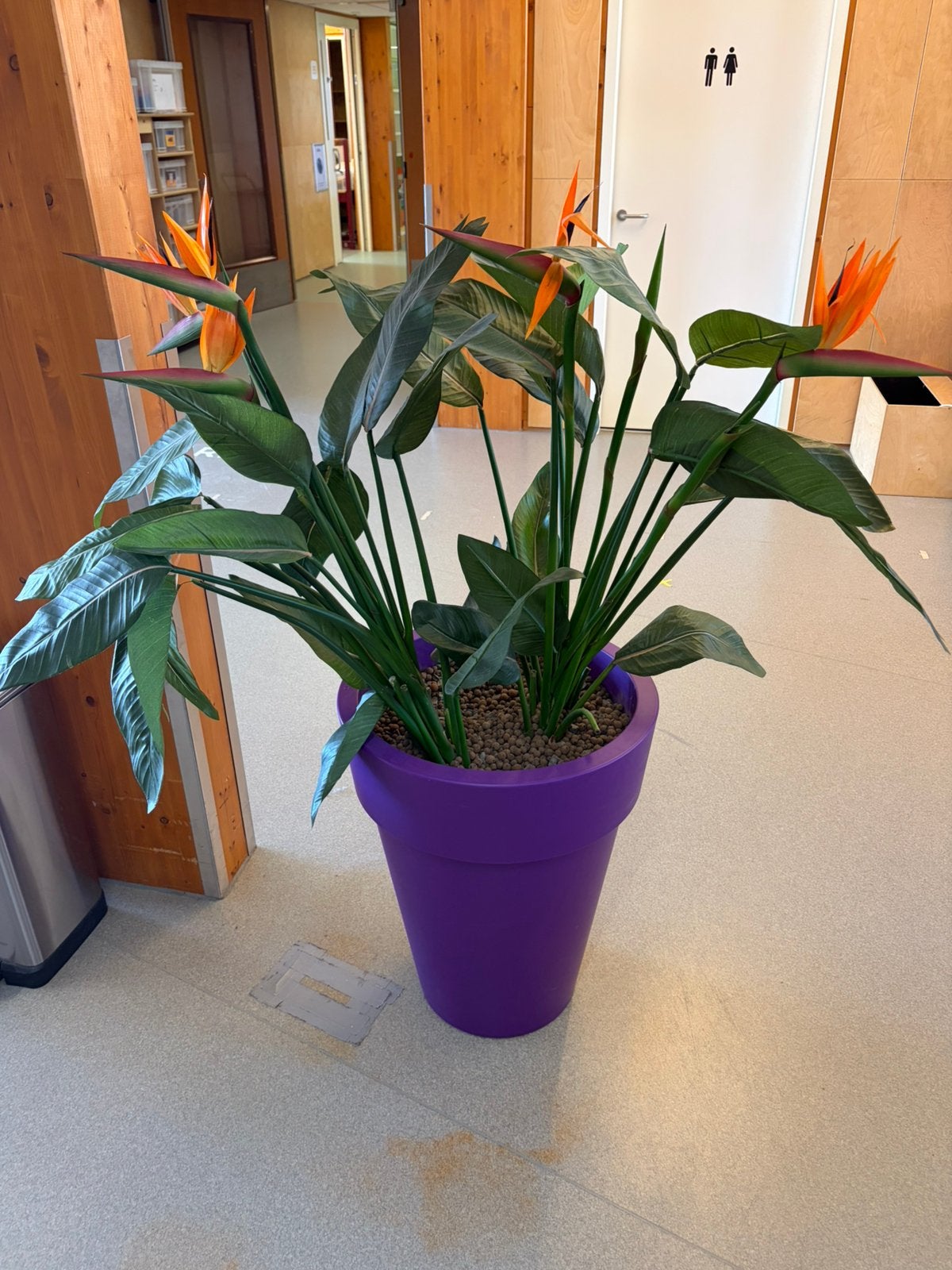 Kunstplant, Ophalen, Binnen, Groen, Kunstplant