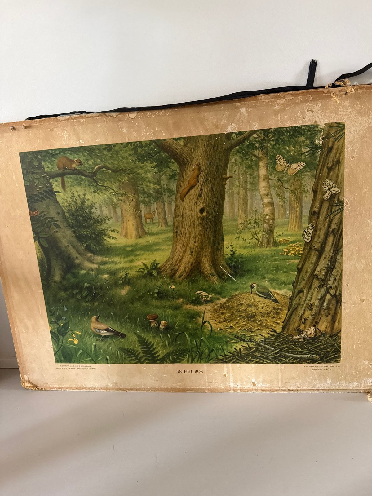 Vintage schoolplaat 'In het Bos' - Natuur en Biologie, Antiek en Kunst, Antiek | Schoolplaten, Ophalen, Natuur en Biologie