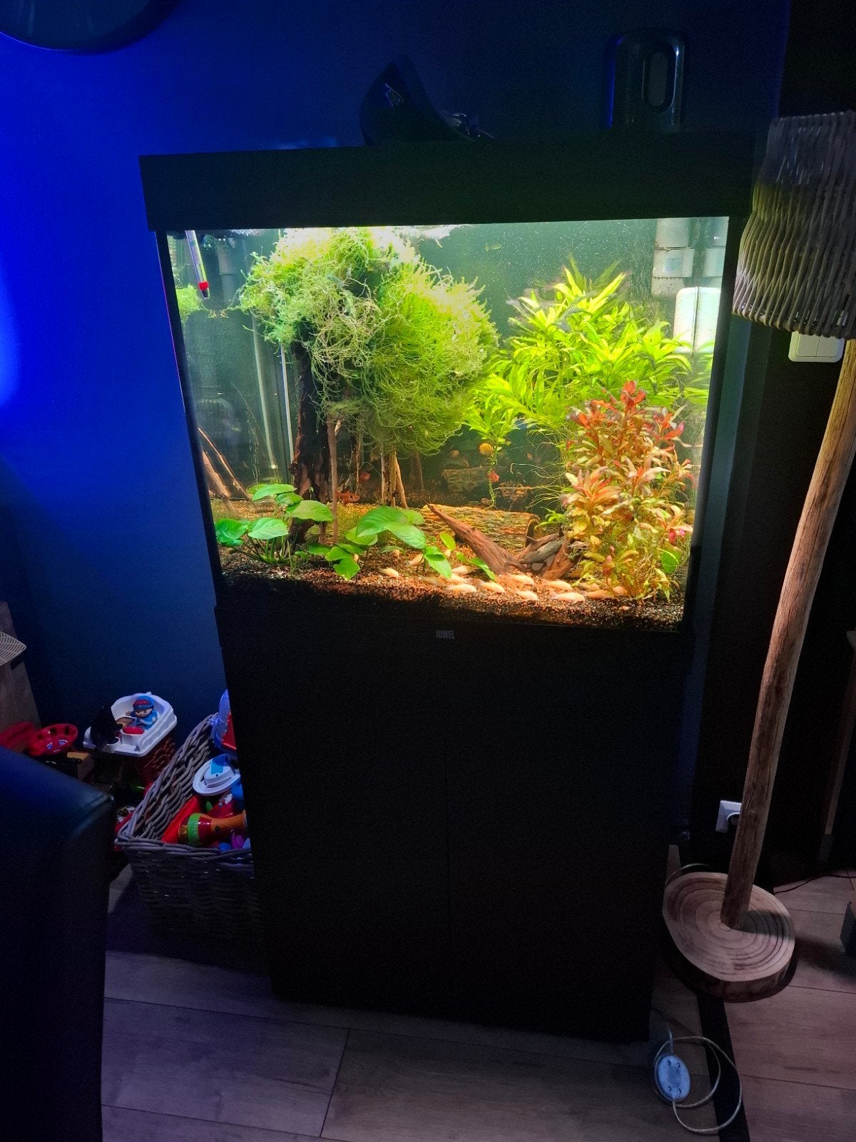 Juwel lido 200  ( 10 maanden oud ) met fluval FX6., Ophalen, Nieuw, Gevuld zoetwateraquarium