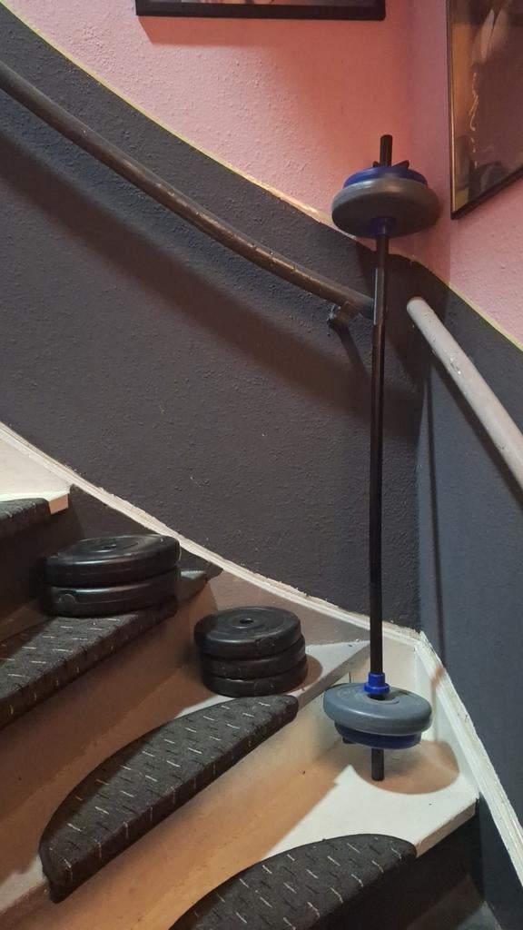 Halterset met schijven - Ideaal voor thuisworkouts, Ophalen of Verzenden, Gebruikt, Rug, Halterset