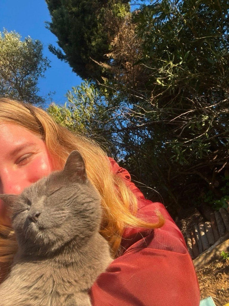Betrouwbare ervaren lieve huisdieren vakantie oppas aan huis, Ophalen