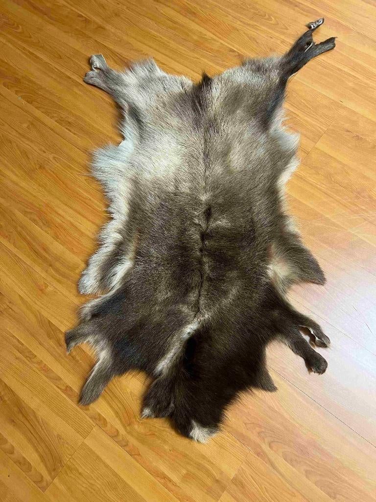 Rendierhuid vacht 110/60 cm, Gebruikt, 100 tot 150 cm, Etten-Leur, DJT@dejuistetoon.eu