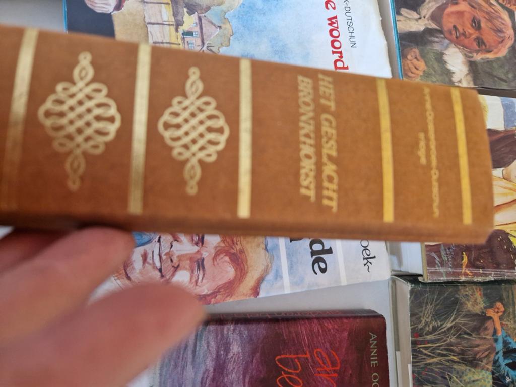 Het geslacht Bronkhorst - Annie Oosterbroek-Dutschun, Ophalen of Verzenden, Gelezen, Annie Oosterbroek-Dutschun, Nederland