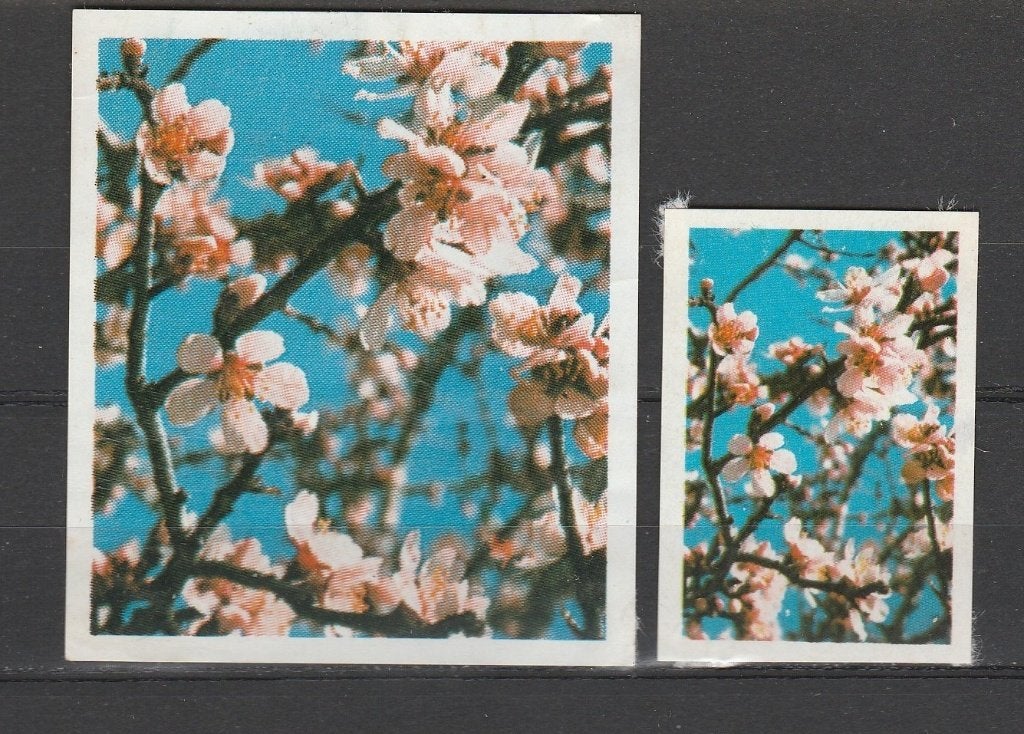 Lucifermerken,  Bloemen  (677), Ophalen of Verzenden, Gebruikt, Luciferdoosjes of -merken