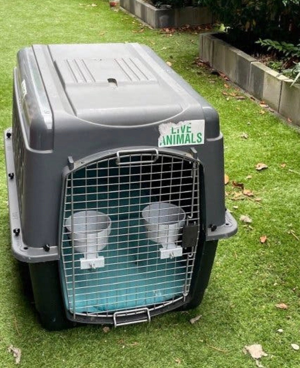 IATA gekeurde petmate honden (reis) bench, Ophalen of Verzenden