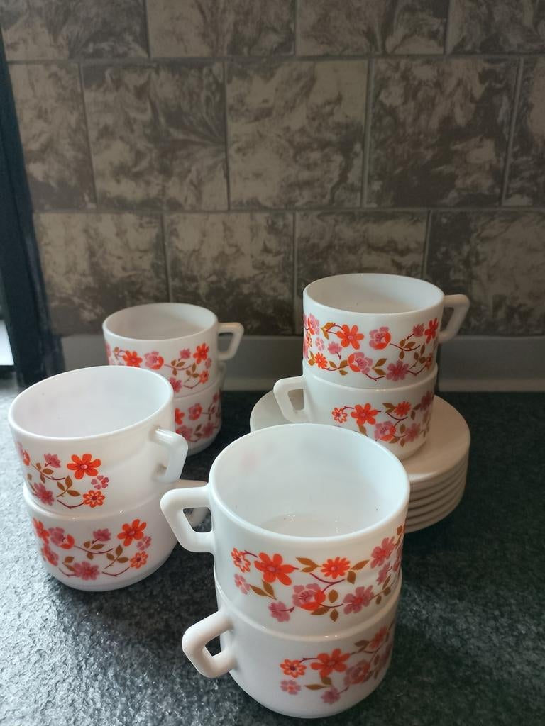 Arcopal France servies ( Scania), Antiek en Kunst, Ophalen of Verzenden