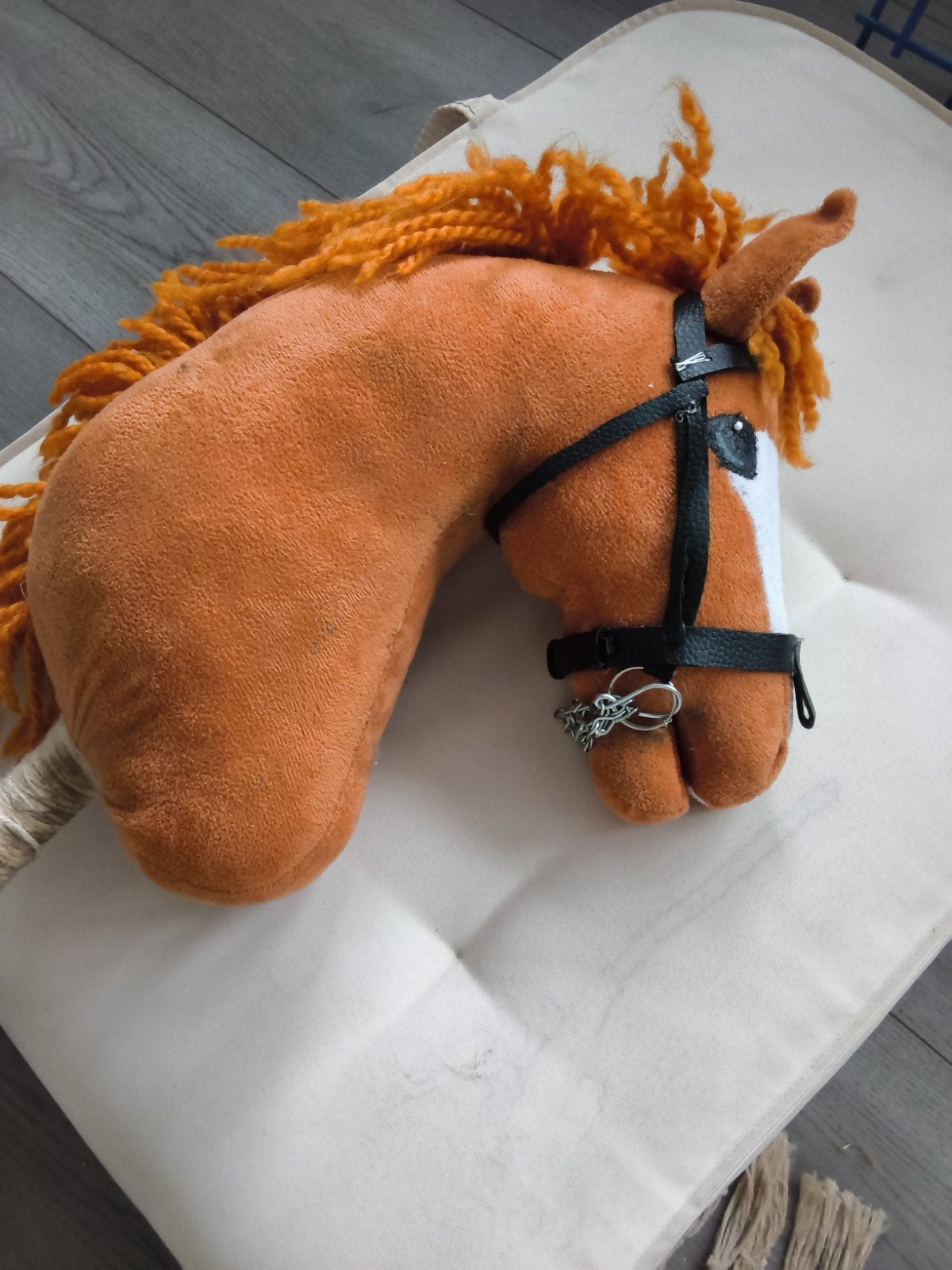 hobby horse, Ophalen, Gebruikt, Recreatie