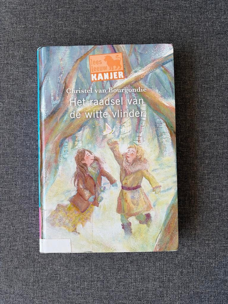 Het raadsel van de witte vlinder - Christel van Bourgondie, Boeken, Kinderboeken | Jeugd | onder 10 jaar, Ophalen of Verzenden