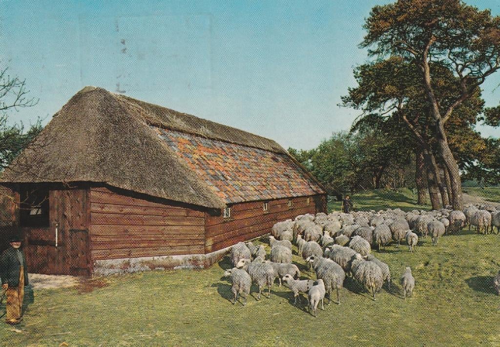 EDE Schaapskooi Zuid Ginkel, Verzenden, 1960 tot 1980, Gelopen, Gelderland