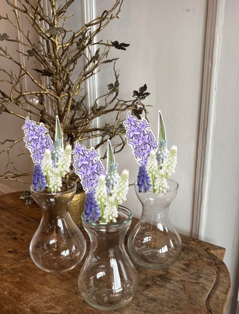 Hyacint/bollenvaasjes van glas, in mooie staat, Overige kleuren, Ophalen of Verzenden, Minder dan 50 cm, Glas