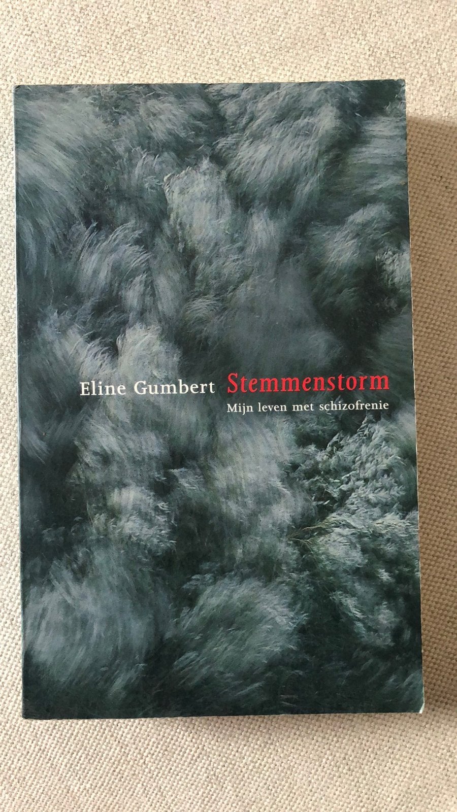Stemmenstorm - Eline Gumbert, Ophalen, Gelezen