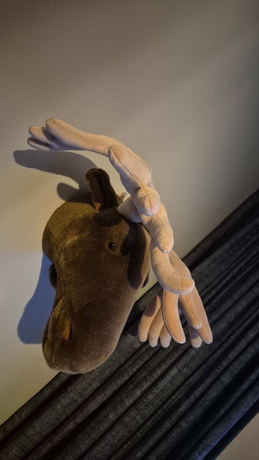 Wild en Soft Dierenkop Alfred de eland - zo goed als nieuw, Ophalen, Zo goed als nieuw, Wanddecoratie