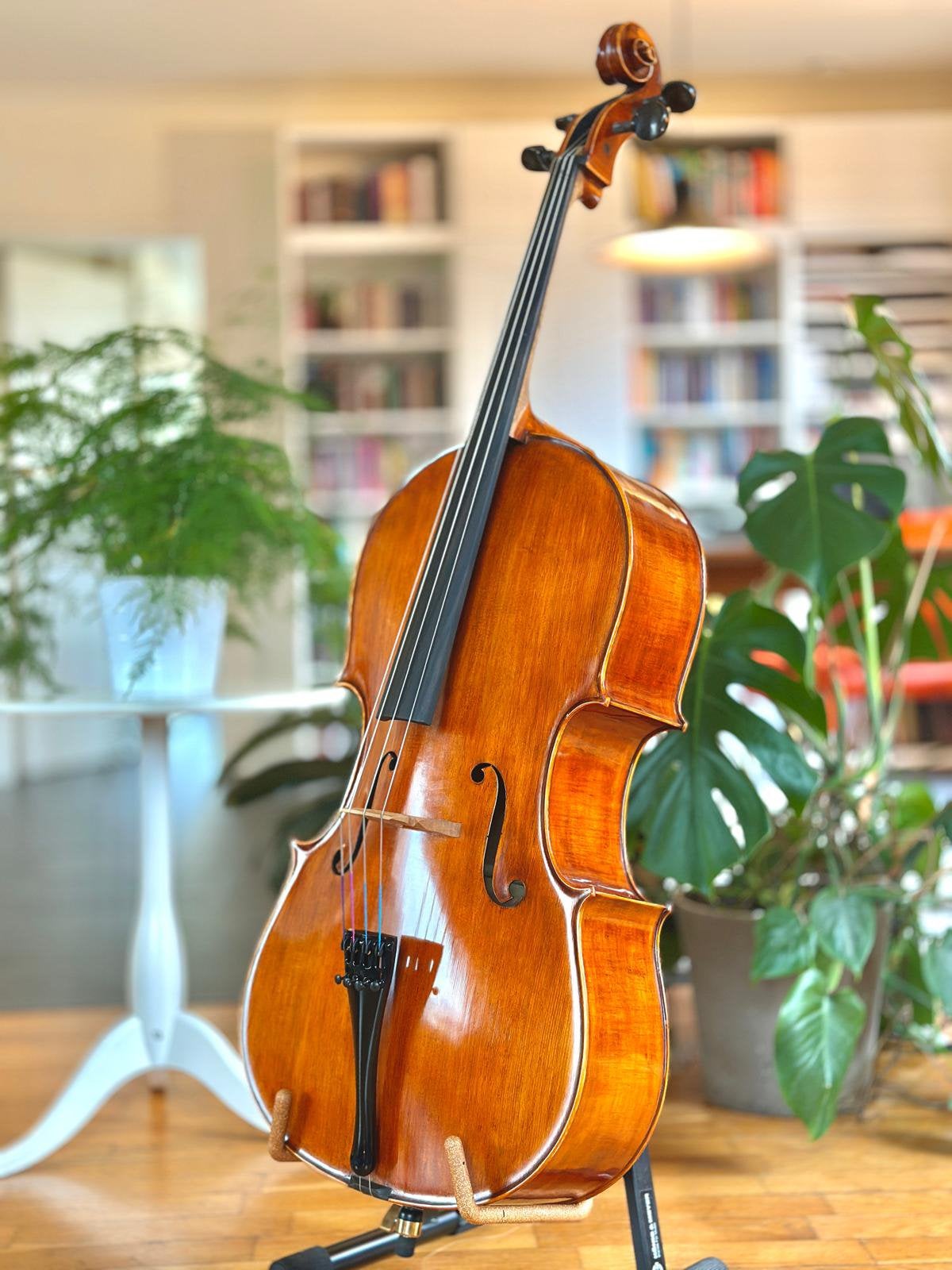 Handgemaakte Bulgaarse 4/4 cello - Nieuw, Ophalen, Nieuw, 4/4-cello, Met koffer