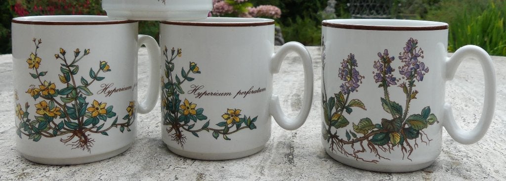 BOTANICA Villeroy & Boch Mokken Deksel Dozen + Kommen K + S, Huis en Inrichting, Keuken | Servies, Villeroy & Boch, Nieuw, Ophalen of Verzenden