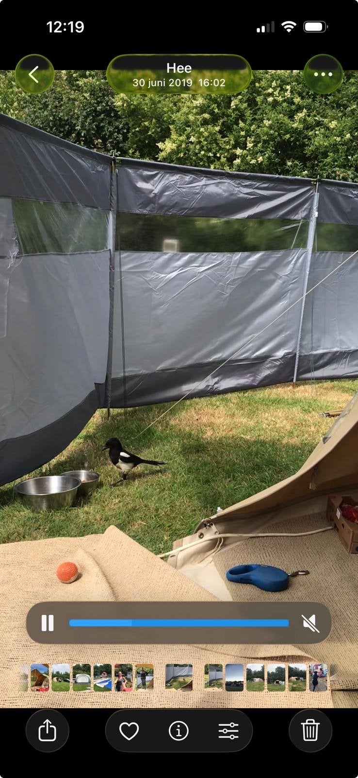 Bo-Camp windscherm voor camping of tuin, Ophalen, Gebruikt