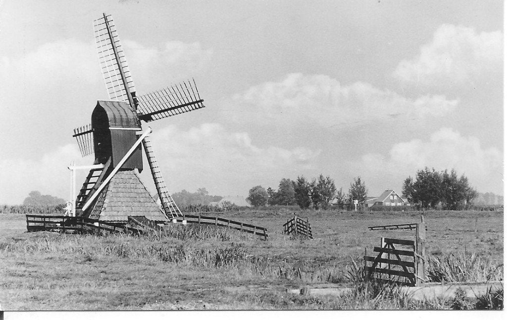 Ansichtkaart Grouw, Friesland - Molen aan de Wijde Bird, Ophalen of Verzenden, 1960 tot 1980, Ongelopen, Friesland