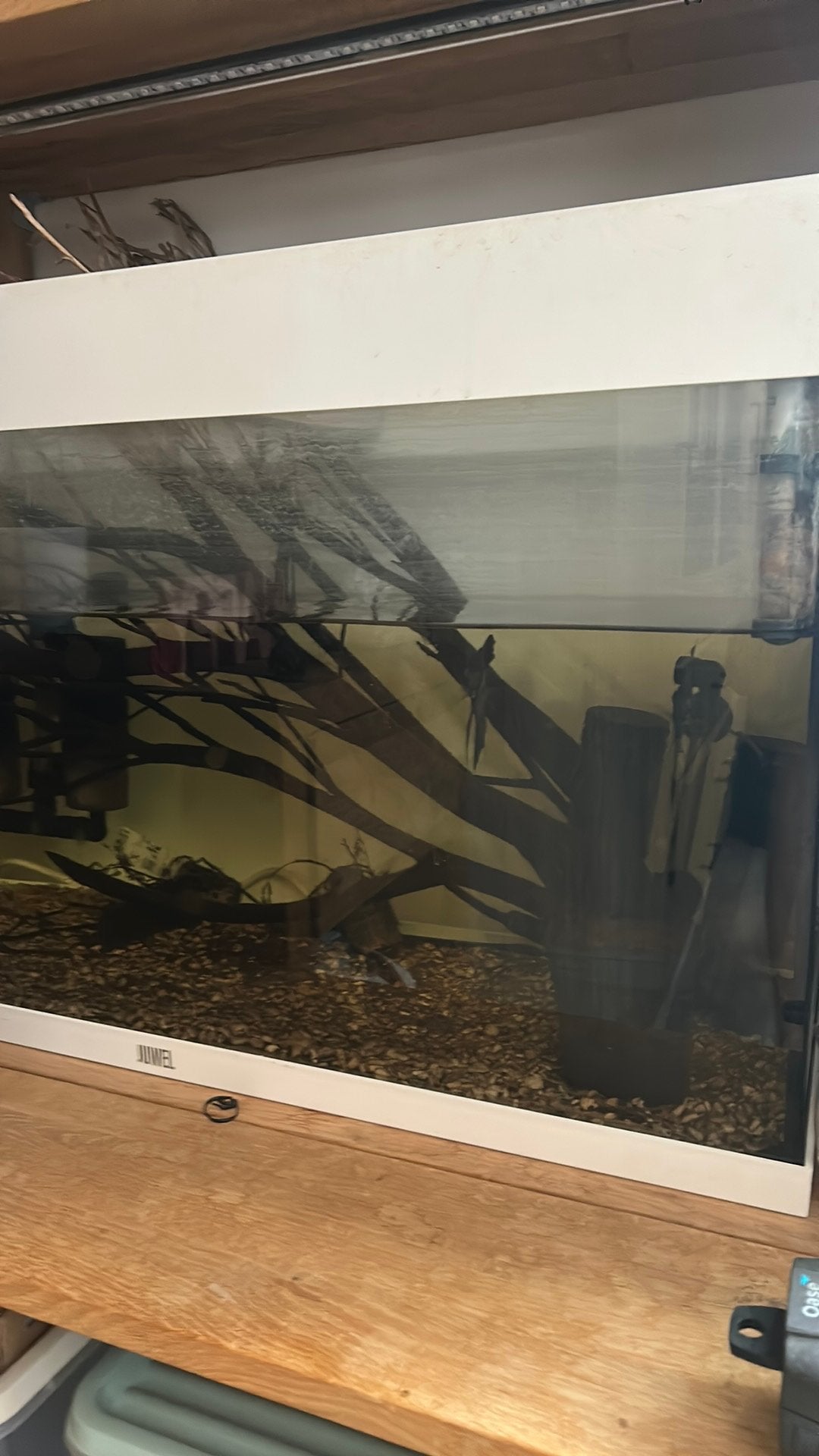 aquarium 120 liter, Dieren en Toebehoren, Ophalen of Verzenden, Gebruikt, Leeg aquarium